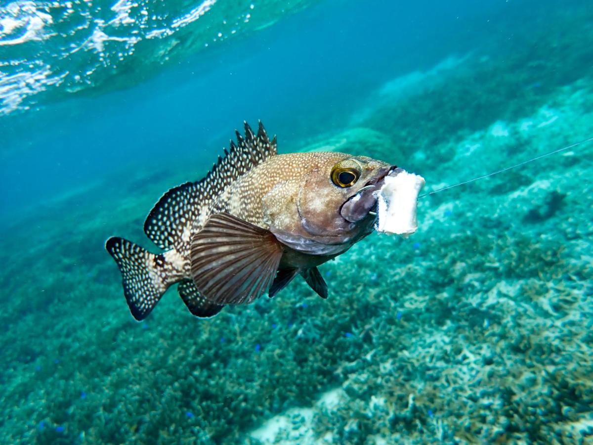 Blue Ocean Resort Ishigaki  Eksteriør bilde